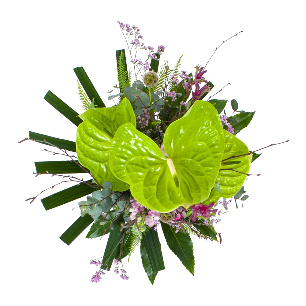 Boeket Anthurium Klein - Afbeelding 2