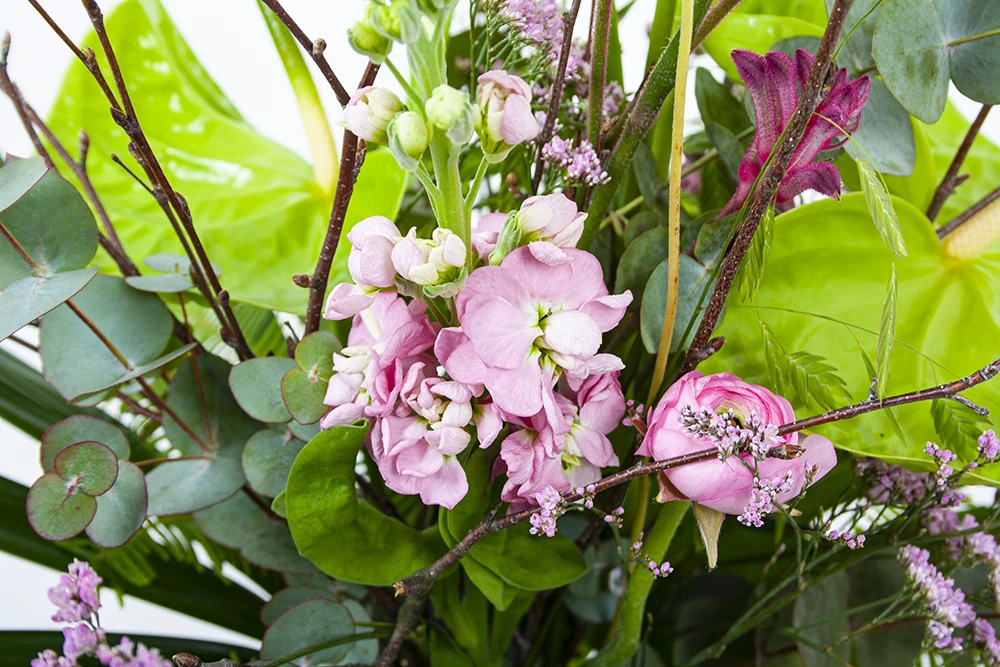 Boeket Anthurium Klein - Afbeelding 3