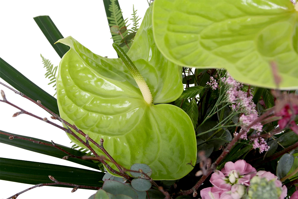 Boeket Anthurium Klein - Afbeelding 4