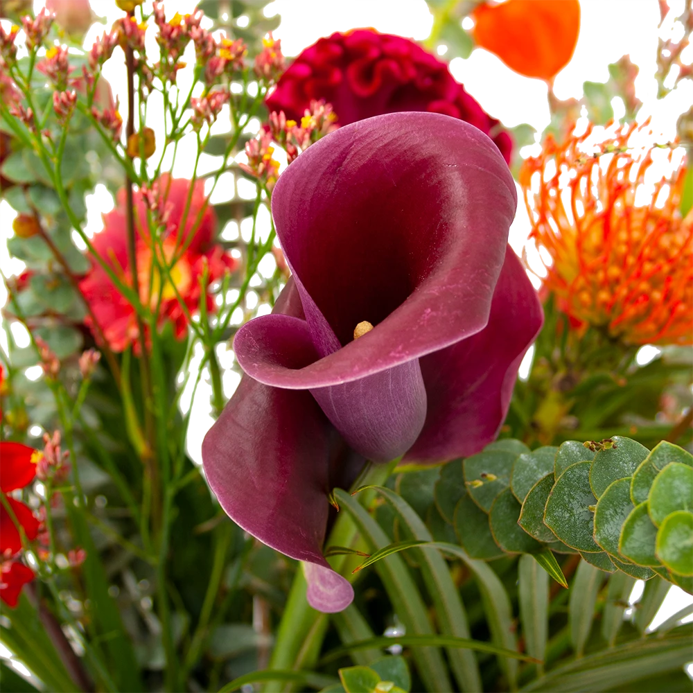 Boeket Herfst Warmte Klein - Afbeelding 4