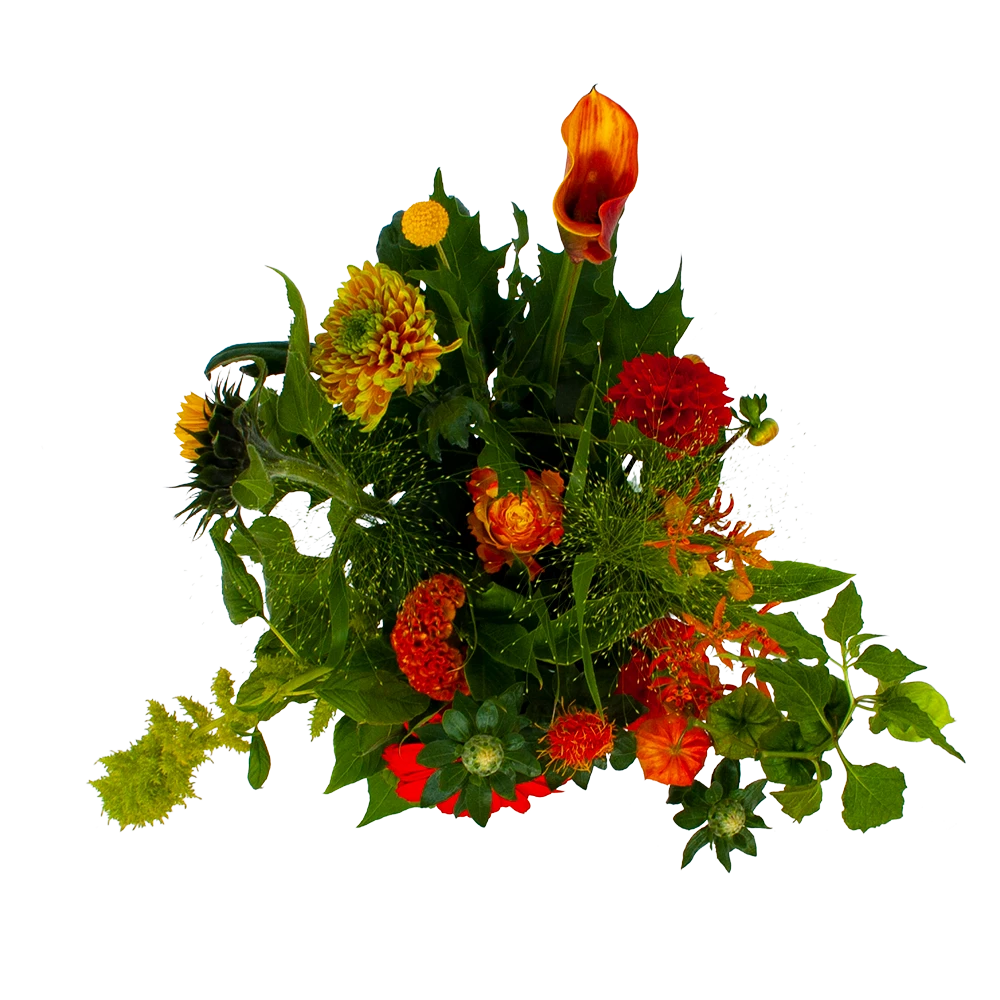 Boeket Herfst Uit Het Veld Groot - Afbeelding 2