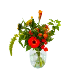 Boeket Herfst Uit Het Veld Klein