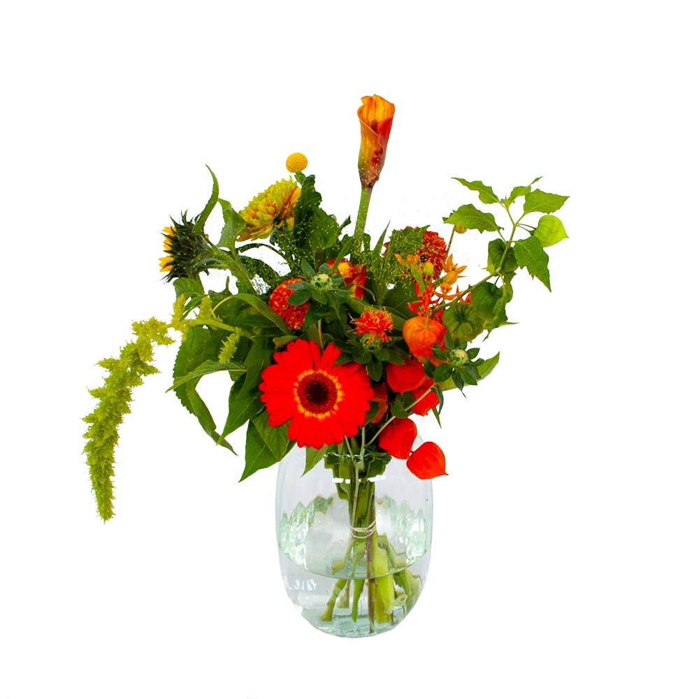 Boeket Herfst Uit Het Veld Klein