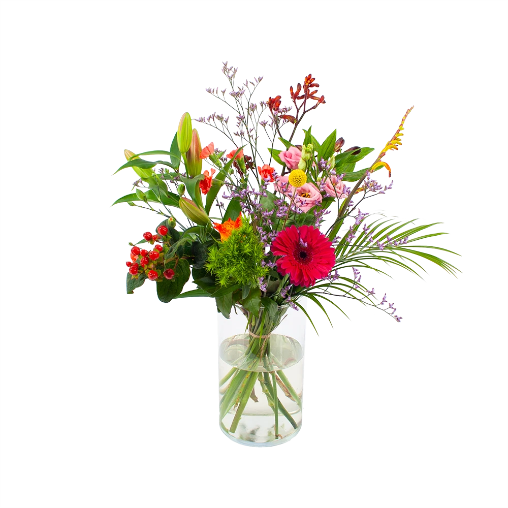 Boeket Kleurrijk Geplukt Middel