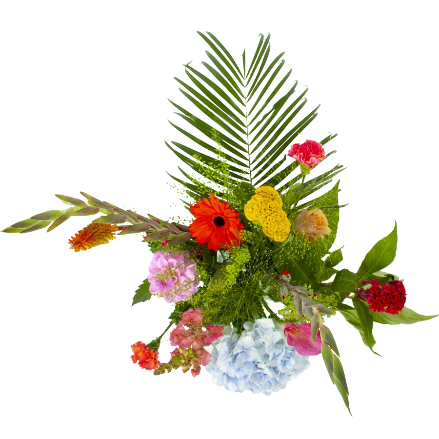 Boeket Lach Klein - Afbeelding 2