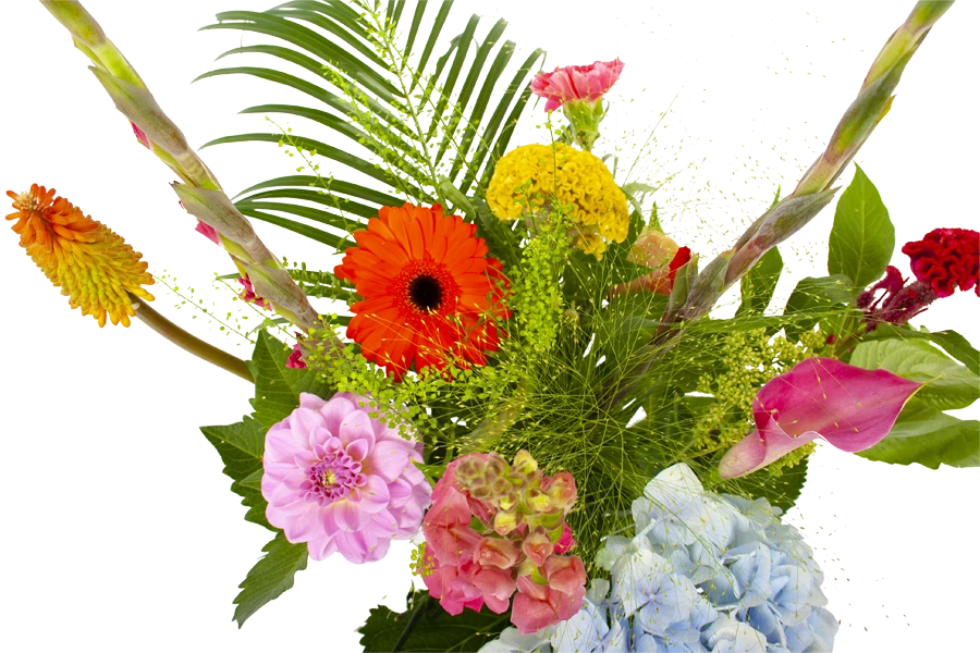 Boeket Lach Klein - Afbeelding 3