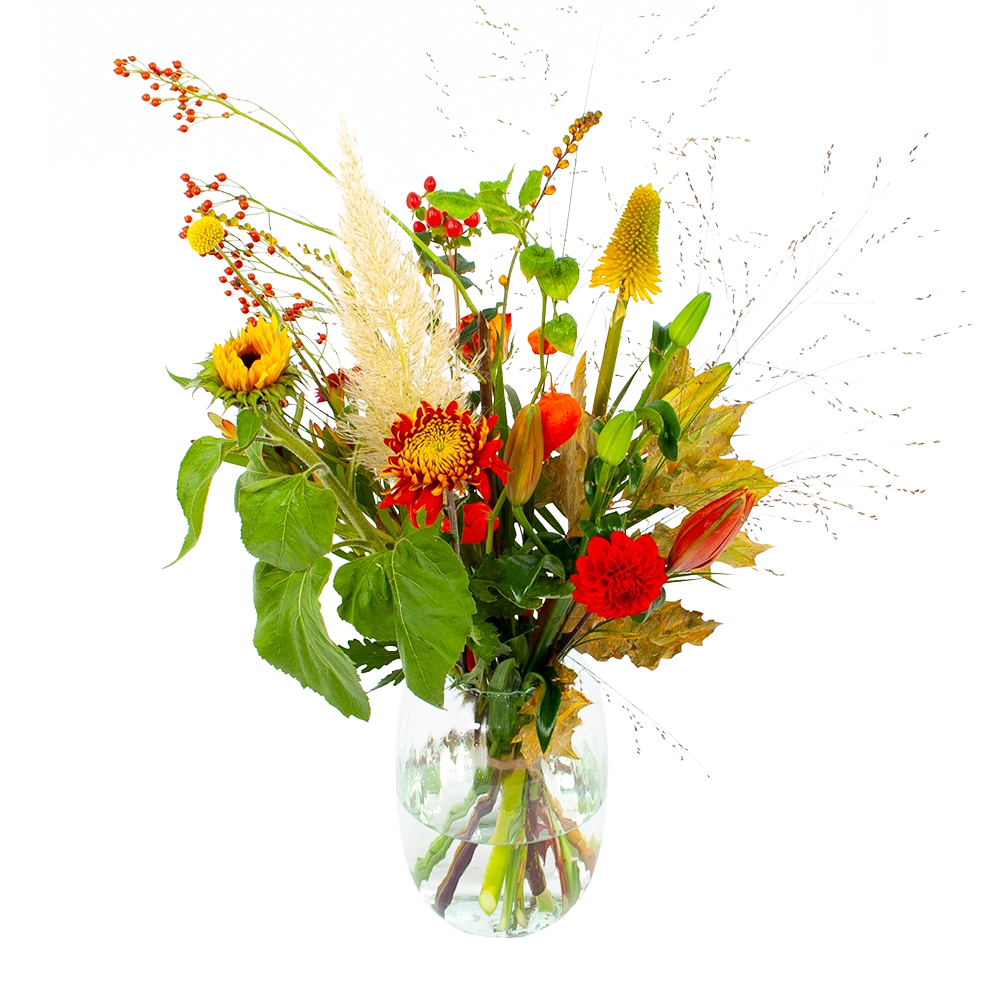 Boeket Pluim Van Het Najaar Groot