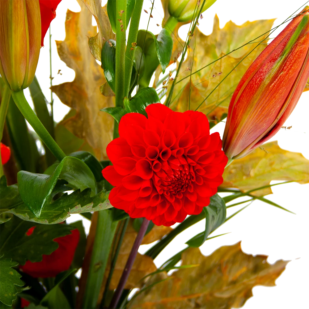 Boeket Pluim Van Het Najaar Groot - Afbeelding 3