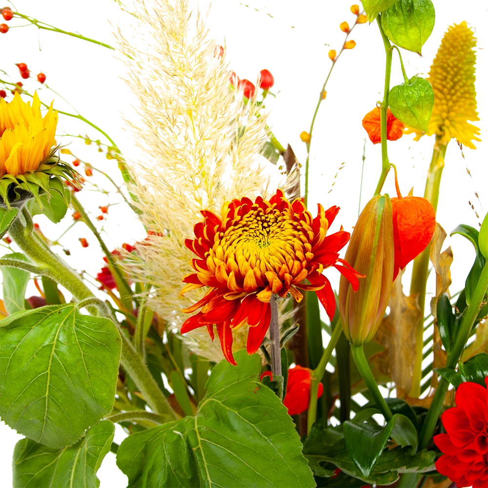 Boeket Pluim Van Het Najaar Groot - Afbeelding 4