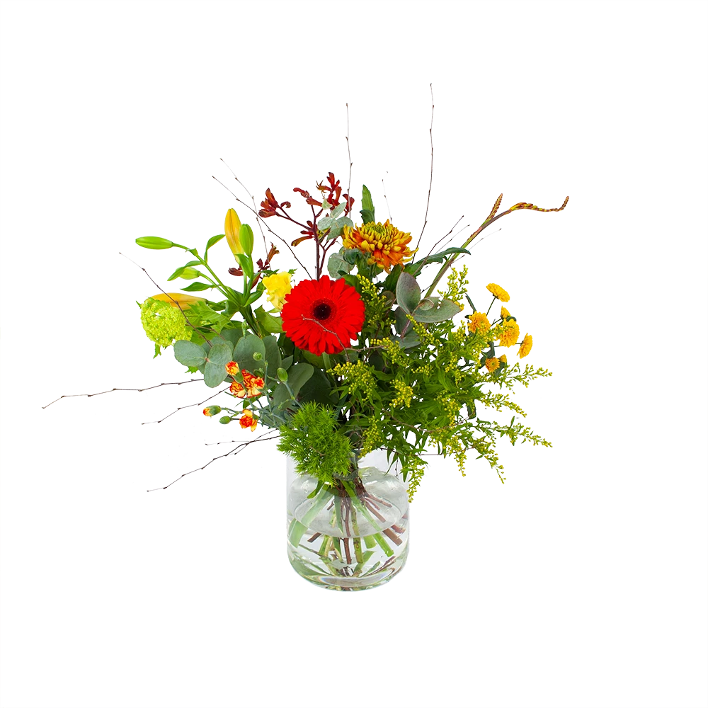 Boeket Speciale Verrassing Middel