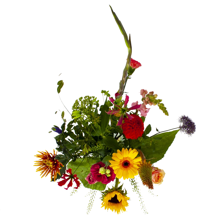 Boeket Vlinder Middel - Afbeelding 2