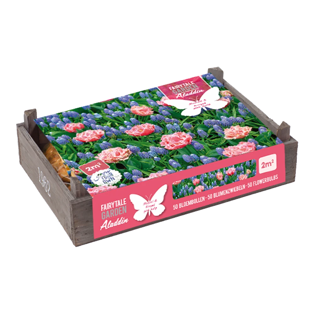 Flower Crate Aladdin - 50st - Bloembollen - Baltus