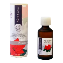 Geurolie Poinsettia (Kerstroos) 50ml - Boles D'olor