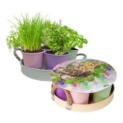 Herb Festival - 7 Potjes Kruiden - Pastel - Kruidenzaden - Baltus Zaden