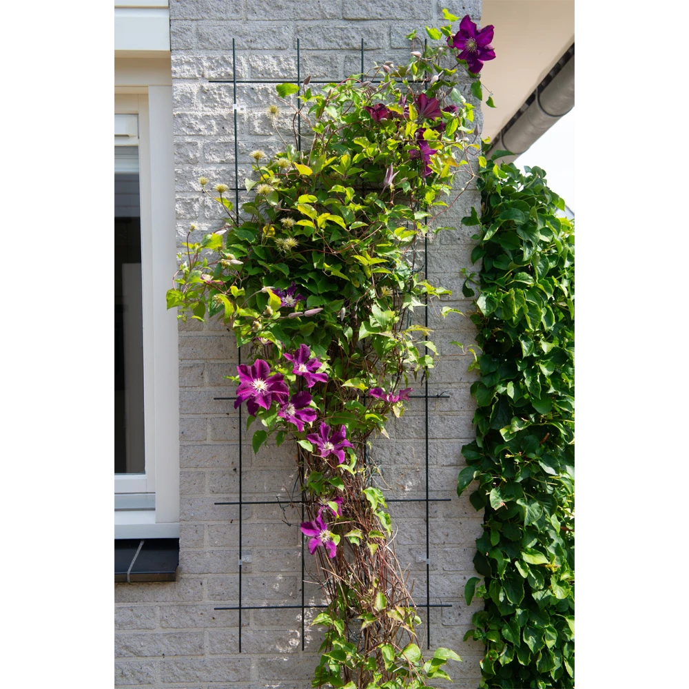 Nature - Metalen Klimrek Geplastificeerd Groen H145x57cm - Afbeelding 2