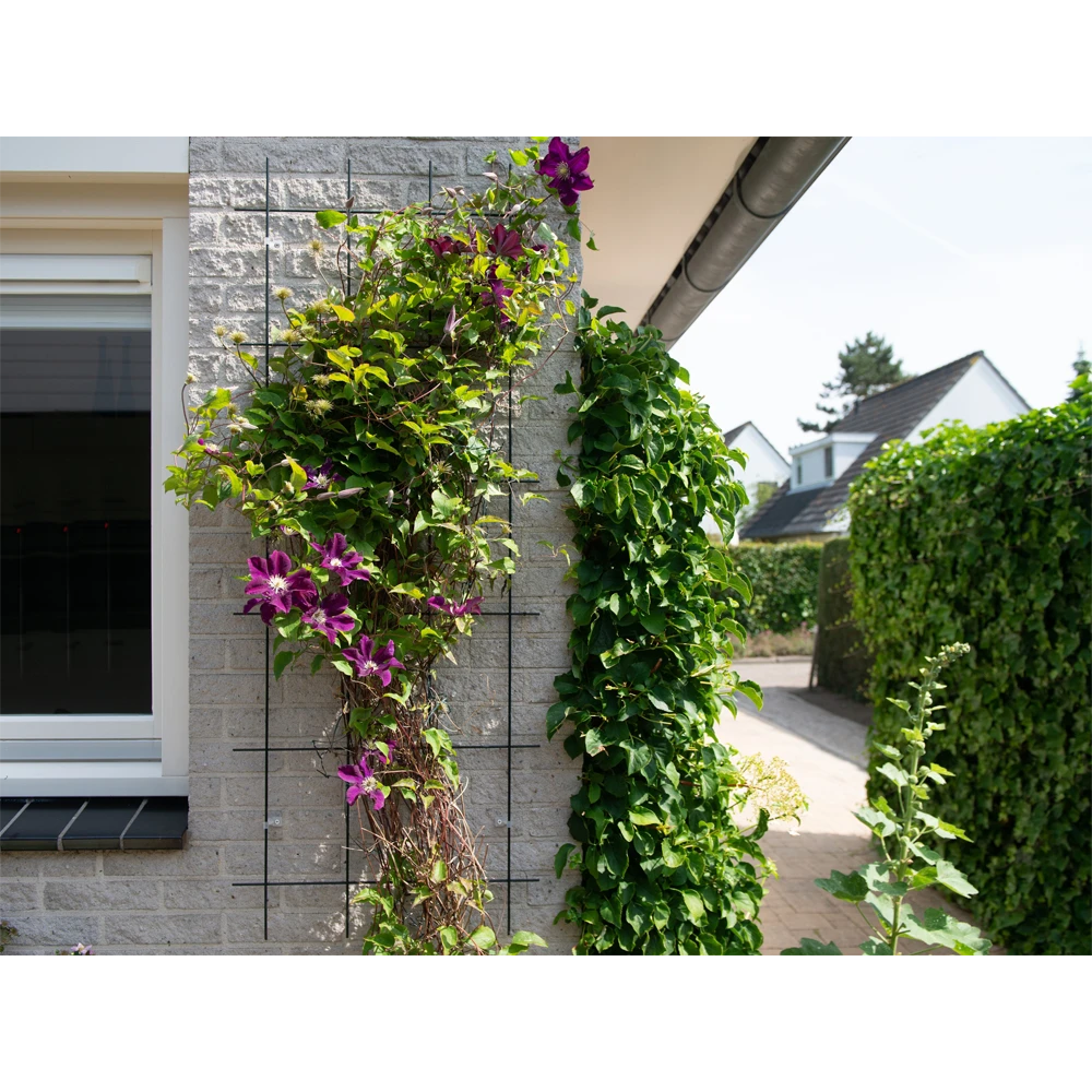 Nature - Metalen Klimrek Geplastificeerd Groen H145x57cm - Afbeelding 3